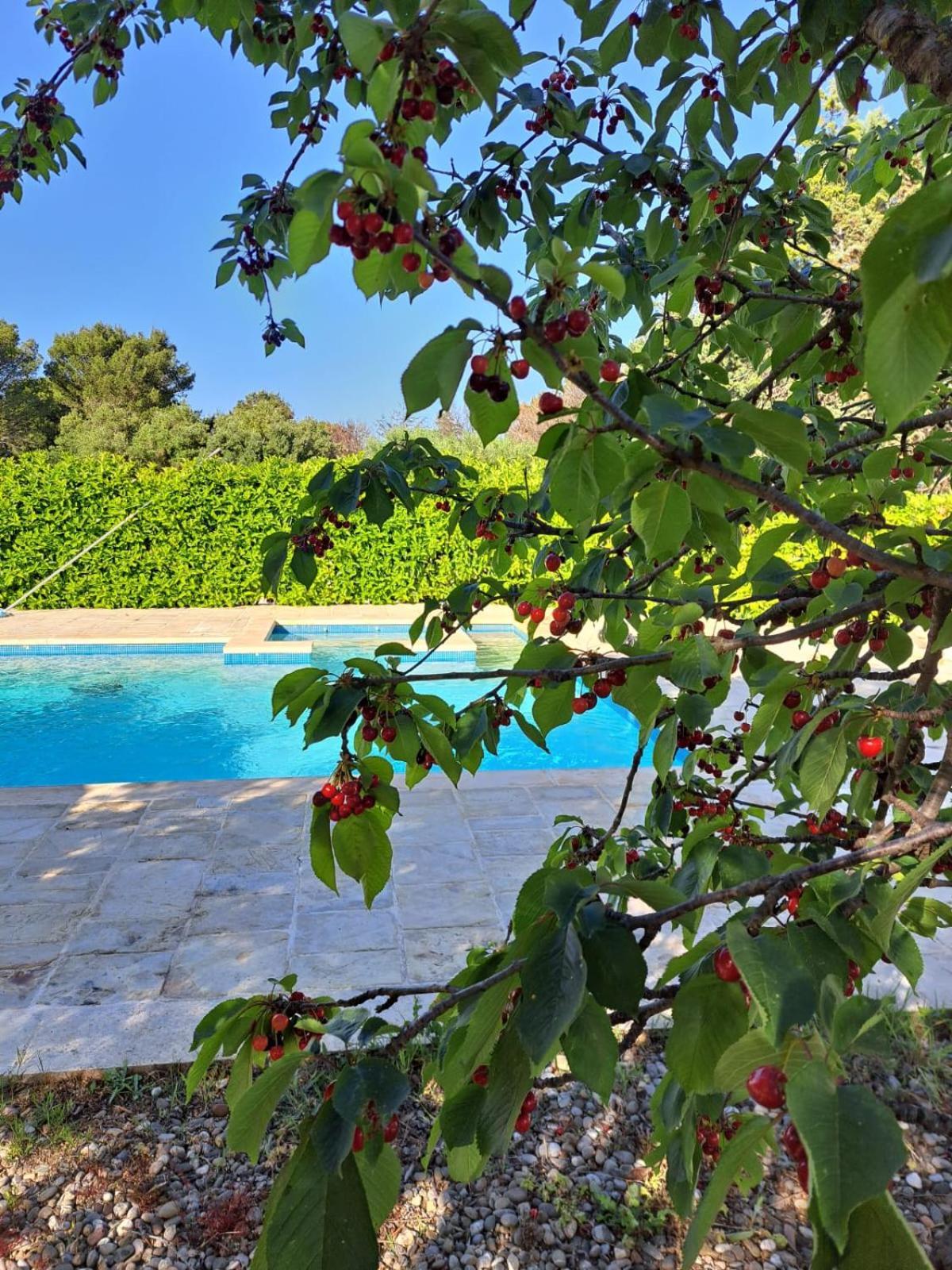 Trulli Gianfelice Vila Martina Franca Exterior foto